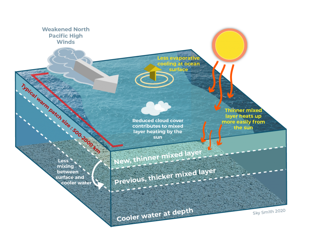 What Is A Marine Heatwave Center For Climate Change Impacts And Adaptation